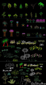 花朵植物CAD图库
