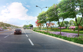 道路绿化