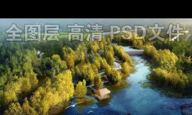 湿地树林秋景鸟瞰