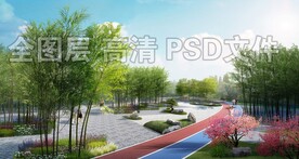 竹林白沙枯山水