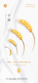 中式网络信号小满节气海报