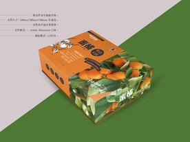 桔子包装 平面图