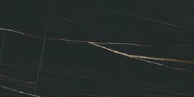 黑金花 金龙黑高清瓷砖设计