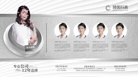 美容团队口腔人物银色高端介绍