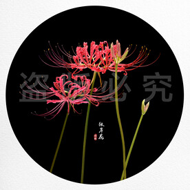 彼岸花素材图片大全 彼岸花素材设计素材 彼岸花素材模板下载 彼岸花素材图库 昵图网soso Nipic Com