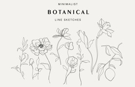 手绘植物线条花卉
