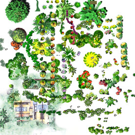 园林绿化高清彩平素材PSD