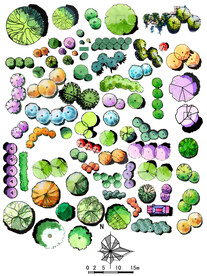植物手绘高清彩平素材PSD