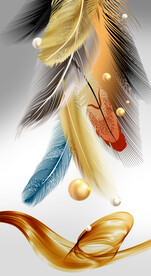 装饰画 羽毛 线条