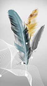 装饰画 羽毛 线条