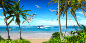 海边椰树沙滩背景墙