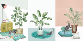 装饰画 晶瓷画 植物 盘栽