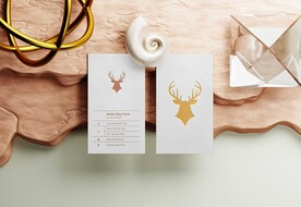 创意名片样机贴图