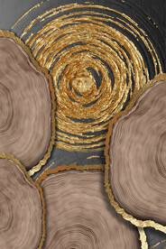 装饰画 晶瓷画 树轮