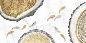 装饰画 晶瓷画 鱼 树轮