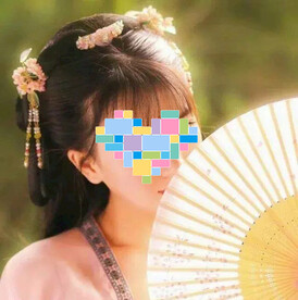 中国风电子相册