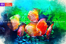 动物插画