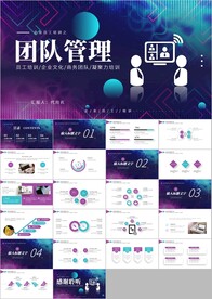 团队管理团队精神团队文化ppt