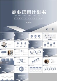 商务商业项目计划书PPT