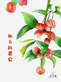 水彩手绘灯笼果插画