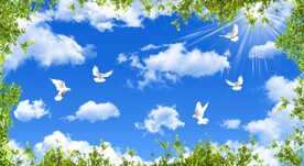 蓝天白云绿叶鸽子