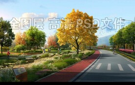 路边旱溪雨水花园