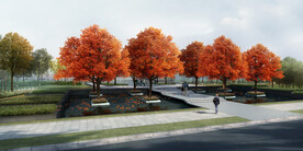 枫香树乌桕广场