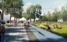 海绵城市路边活动草坪