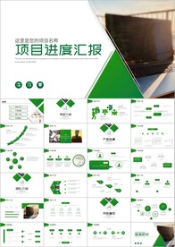 项目进度汇报项目工作总结ppt