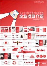 项目介绍工作总结汇报计划ppt