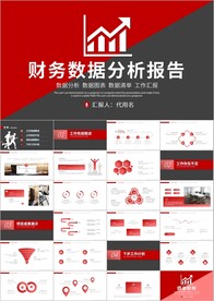 财务数据分析统计报告ppt