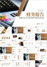 财务部处总监经理财务报告ppt