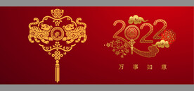 2022 虎年