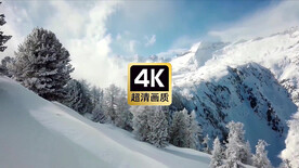 航拍雪原丛林美景