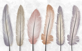 装饰画 晶瓷画 羽毛