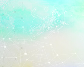 星座 天家 星星 射手 天空