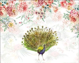 孔雀 花朵 蔷薇