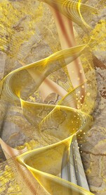 金色线条曲线玄关装饰画