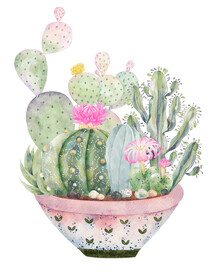 装饰画 仙人掌 盘栽