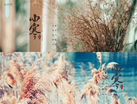 节气海报