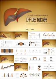 医学人体肝脏解析肝脏健康ppt