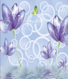 玉兰 圈圈 兰花 蝴蝶 简约 