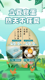 二十四节气习俗活动海报立夏产品