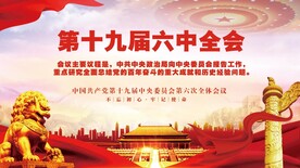 十九届六中全会