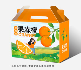 爱媛果冻橙子包装