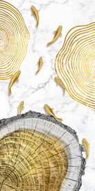 装饰画 晶瓷画 鱼