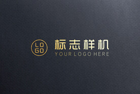 烫金logo样机