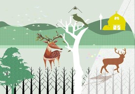 树鹿鸟卡通