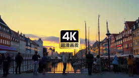 北欧街头加速人流视频