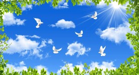 蓝天白云绿叶鸽子